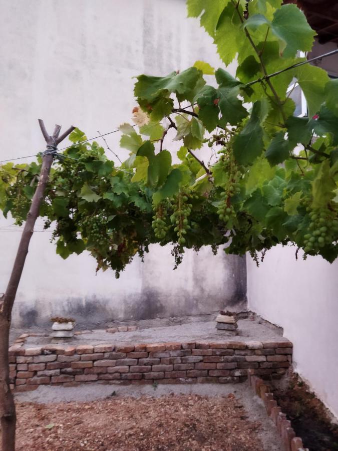 Villa Vista Himarë Dış mekan fotoğraf