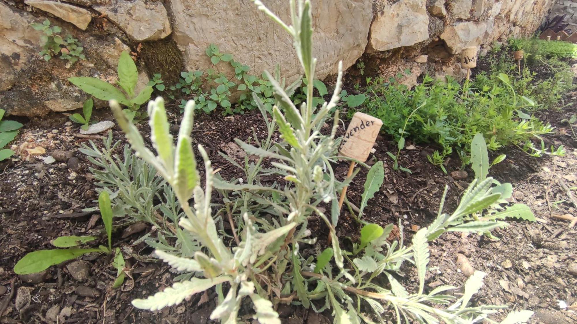 Villa Vista Himarë Dış mekan fotoğraf