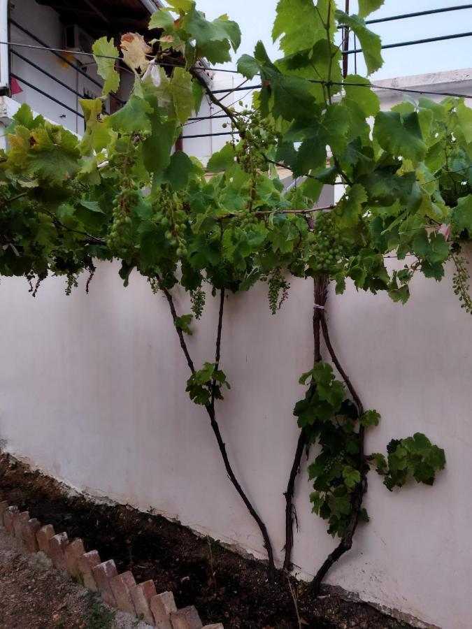 Villa Vista Himarë Dış mekan fotoğraf