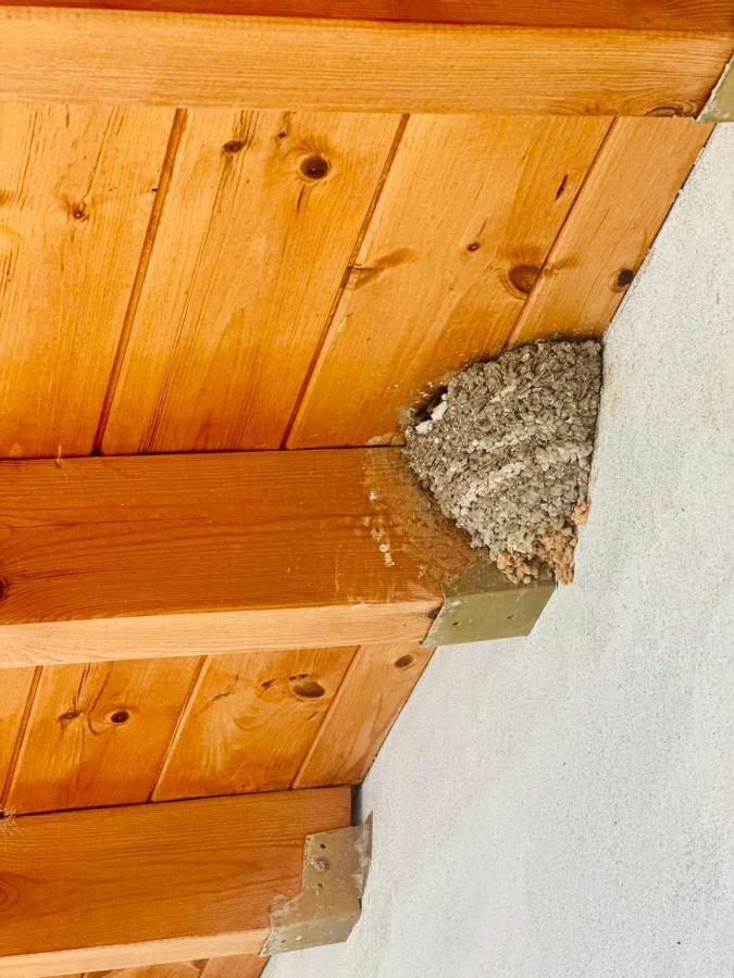 Villa Vista Himarë Dış mekan fotoğraf