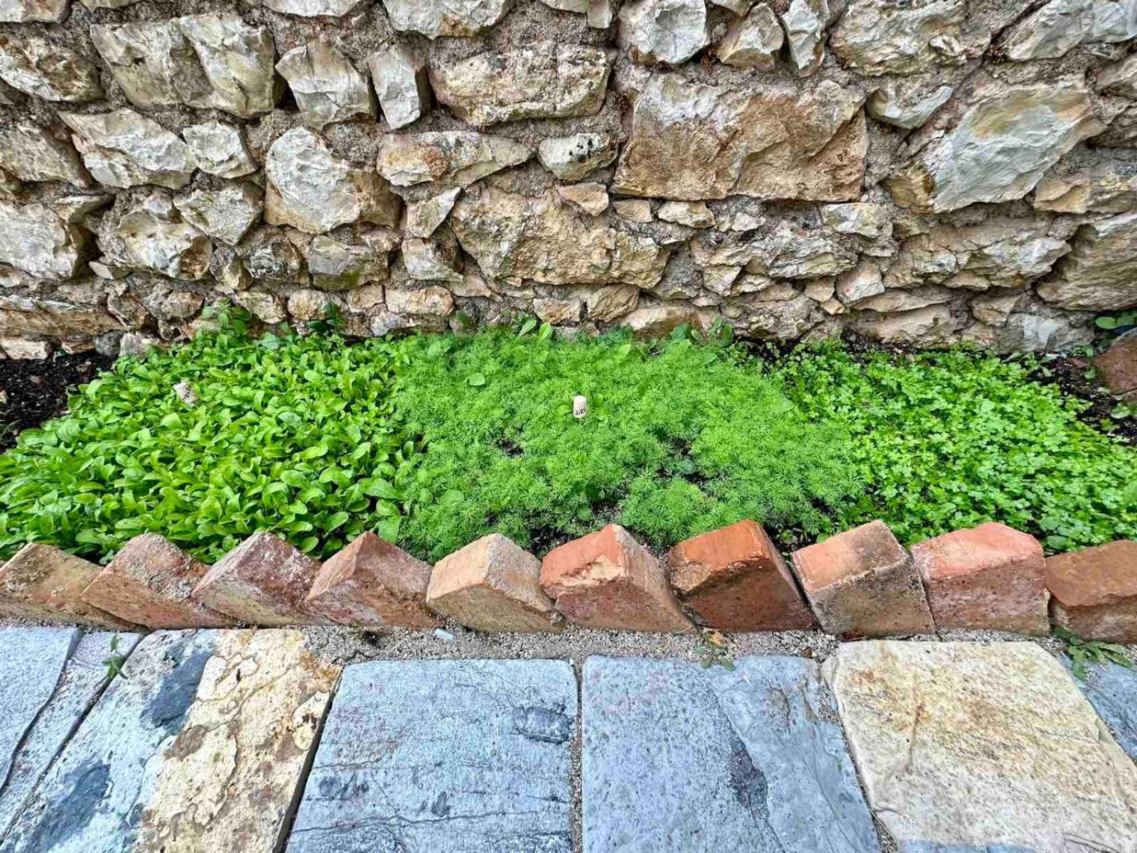 Villa Vista Himarë Dış mekan fotoğraf